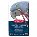 Derwent Scatola in metallo da 12 Pastelli Pastel Pencil Professional Quality