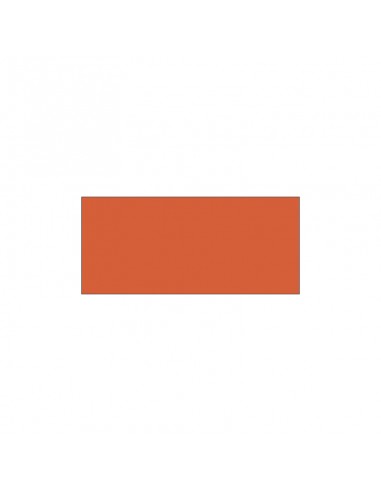 Colori ad Olio 20 ml Van Dyck - Ferrario