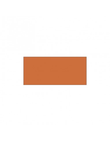 Colori ad Olio 20 ml Van Dyck - Ferrario