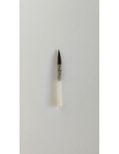 Pennello Vajo Serie 2030 in Penna...