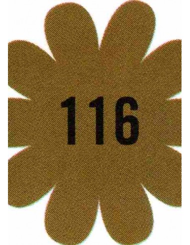 Colori Acrilici Passion 80 ml Ferrario