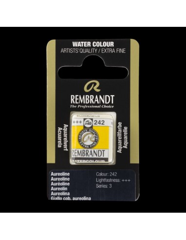 Acquerello Rembrandt ½ Godet - Royal...