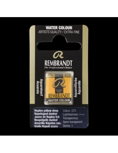 Acquerello Rembrandt ½ Godet - Royal...