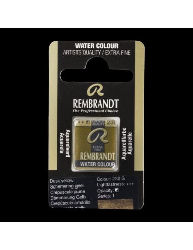 Acquerello Rembrandt ½ Godet - Royal...