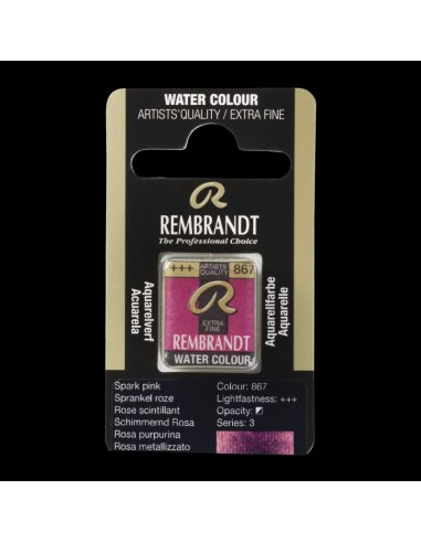 Acquerello Rembrandt ½ Godet - Royal...