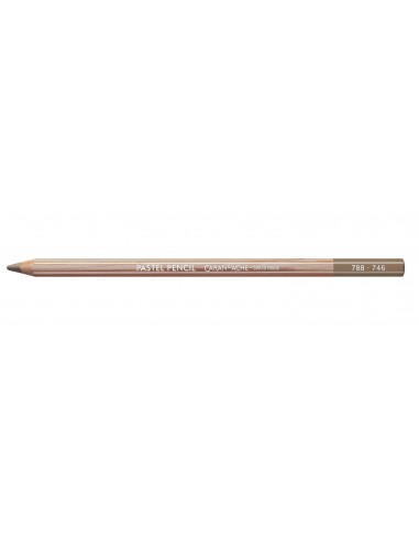 Pastel Pencil Matita Colorata Singola...
