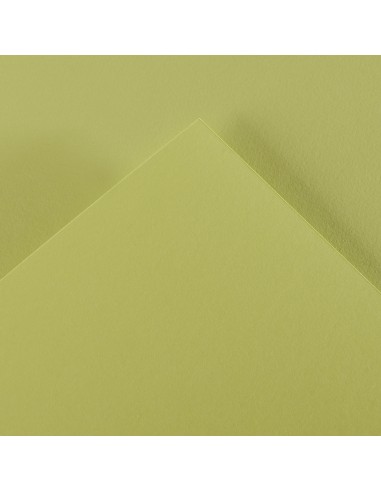 Cartoncino Colorato Iris Vivaldi A4 -...